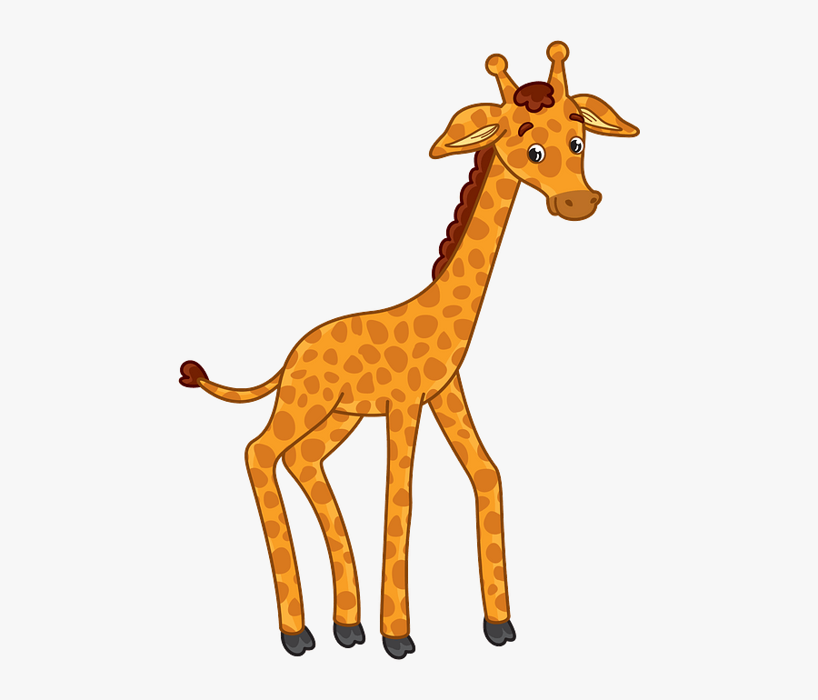 Giraffe , Free Transparent Clipart - ClipartKey
