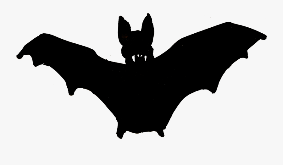 Vampire Bat Photos - Vampire Bat Image Png, Transparent Clipart