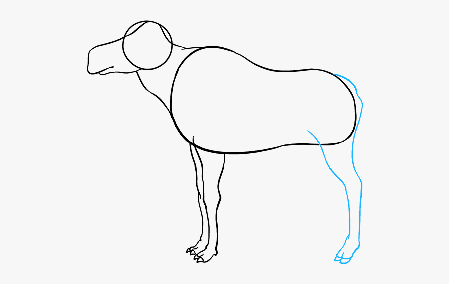 How To Draw Moose - Line Art, Transparent Clipart