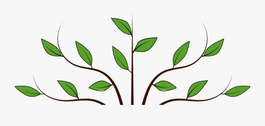 Animated Tree With Leaves, Transparent Clipart