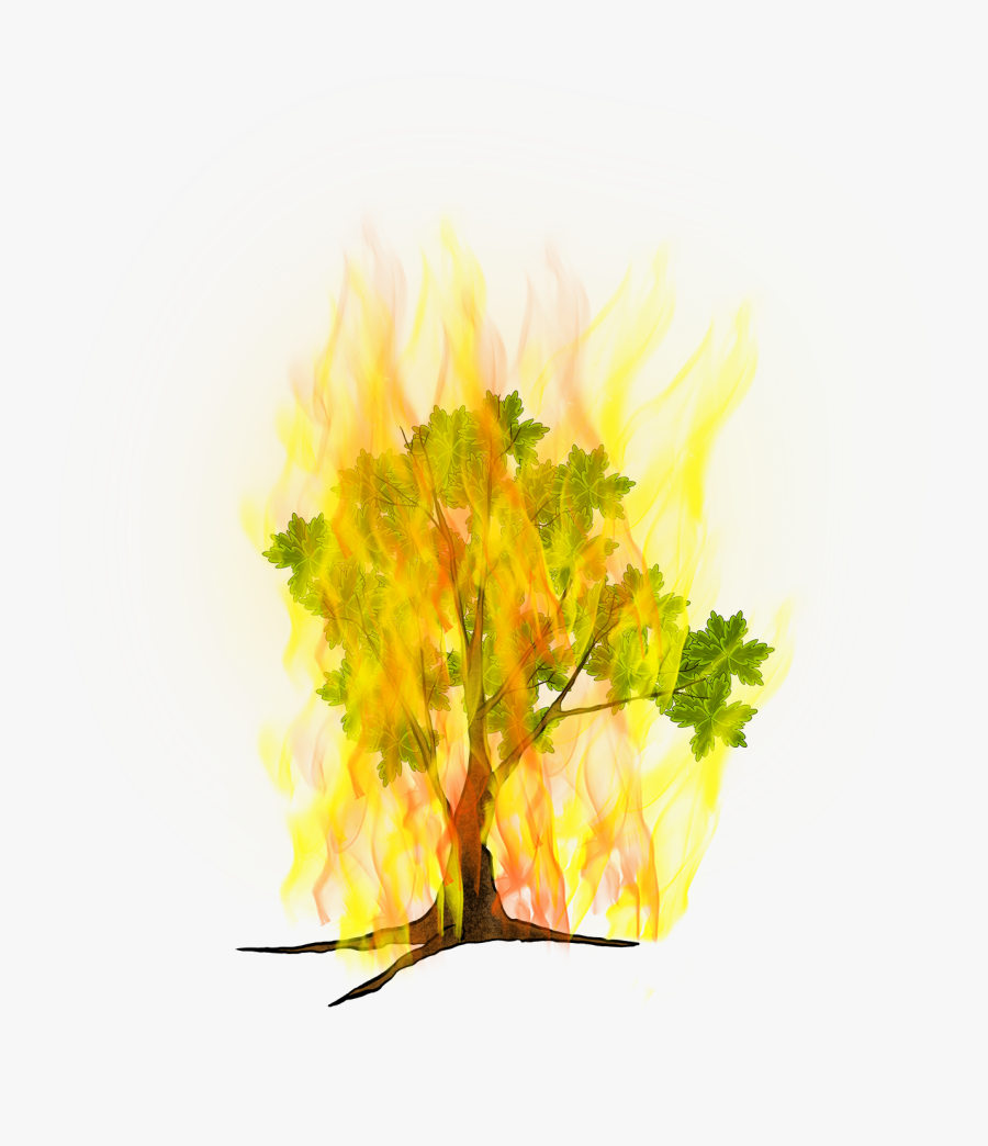 Zarza Ardiendo Png, Transparent Clipart