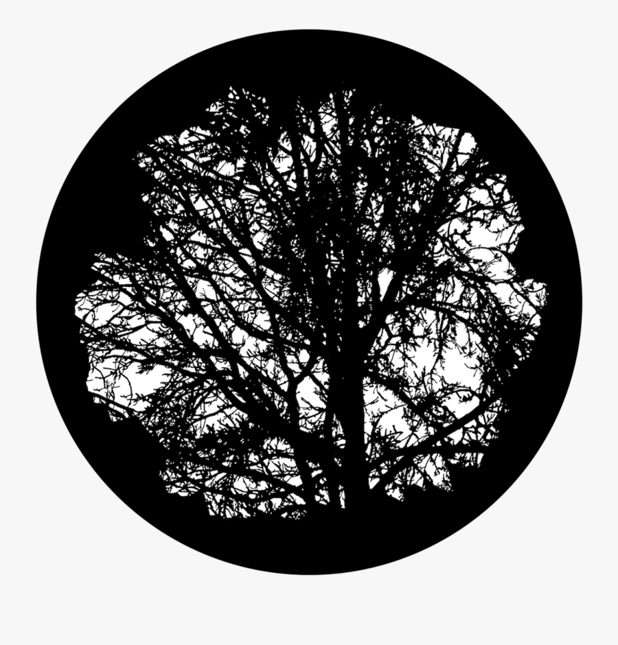 Apollo Mature Tree - Gobo Tree, Transparent Clipart