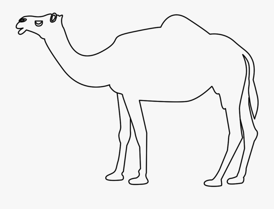 Desert Animals Camel Drawing , Free Transparent Clipart - ClipartKey