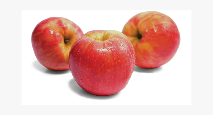 Mcintosh Honeycrisp Apple Gala - Honeycrisp Apple Png, Transparent Clipart