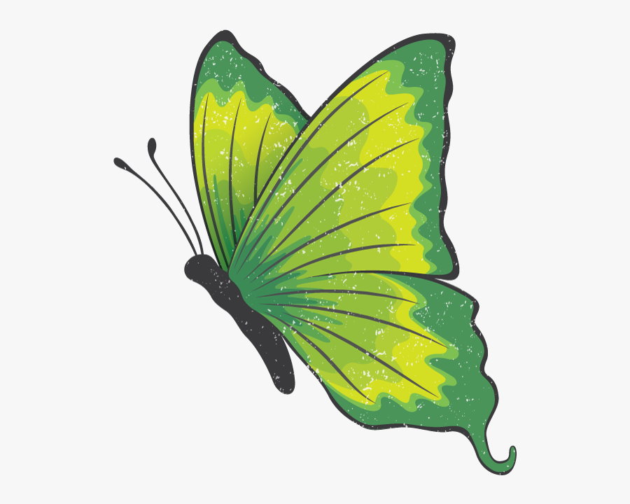 Green Butterfly Png, Transparent Clipart