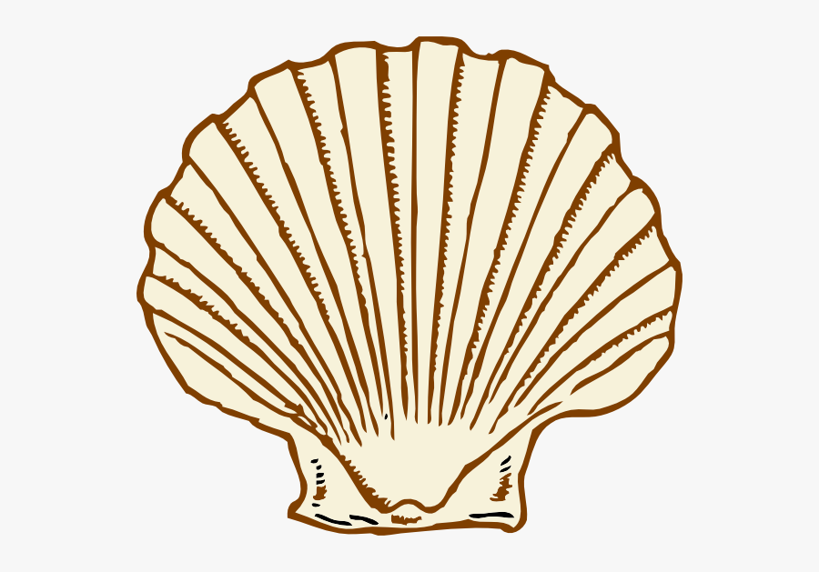 Seashell Black And White, Transparent Clipart