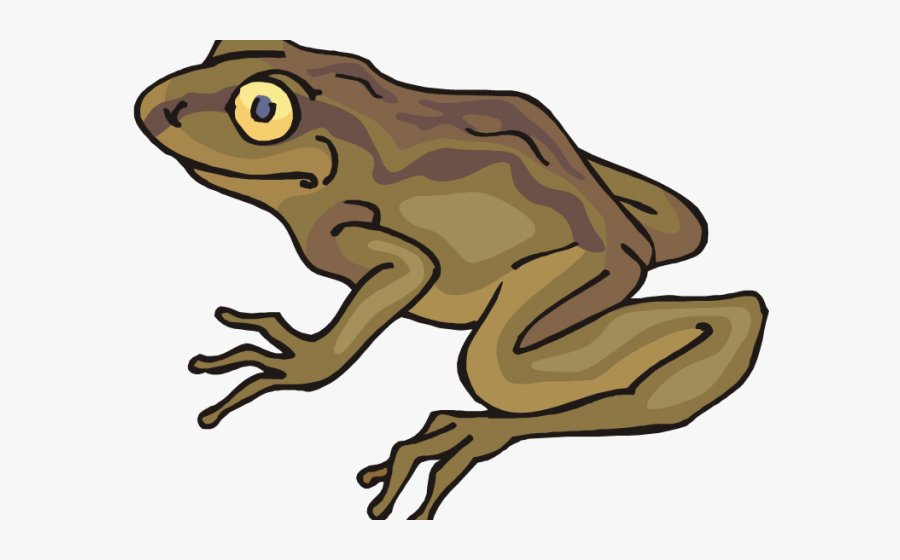 Transparent Cute Frog Clipart - Toad Clipart Png, Transparent Clipart