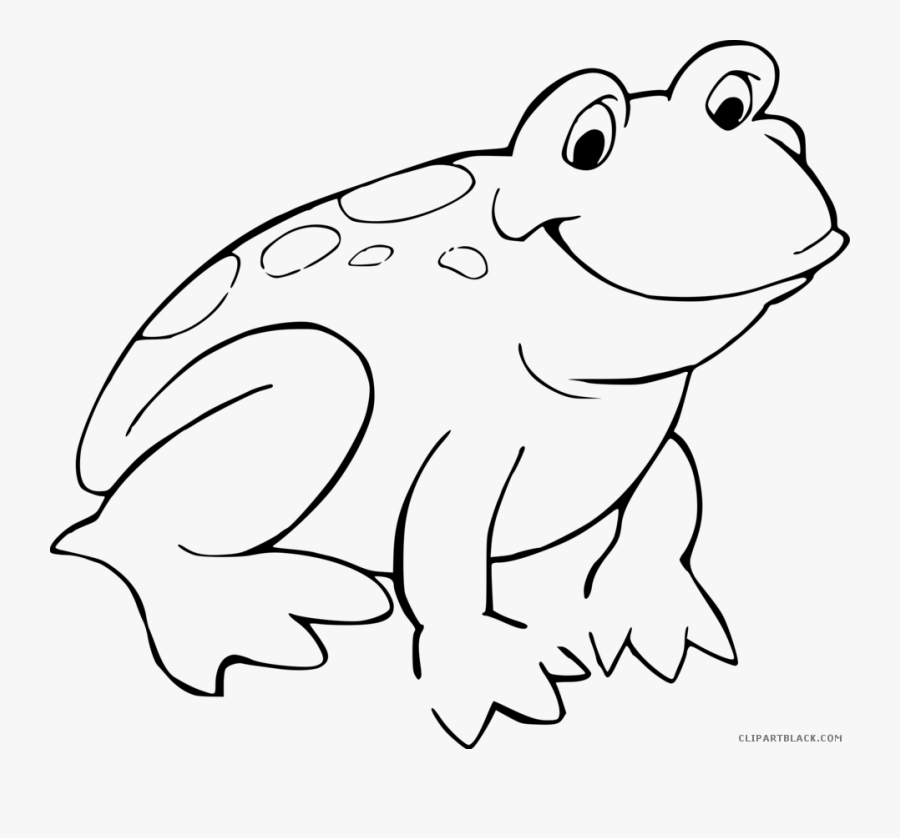 Black And White Frog - Colouring Picture Of A Frog, Transparent Clipart