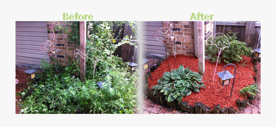 Transparent Flower Bed Clipart - Mulch Before And After, Transparent Clipart