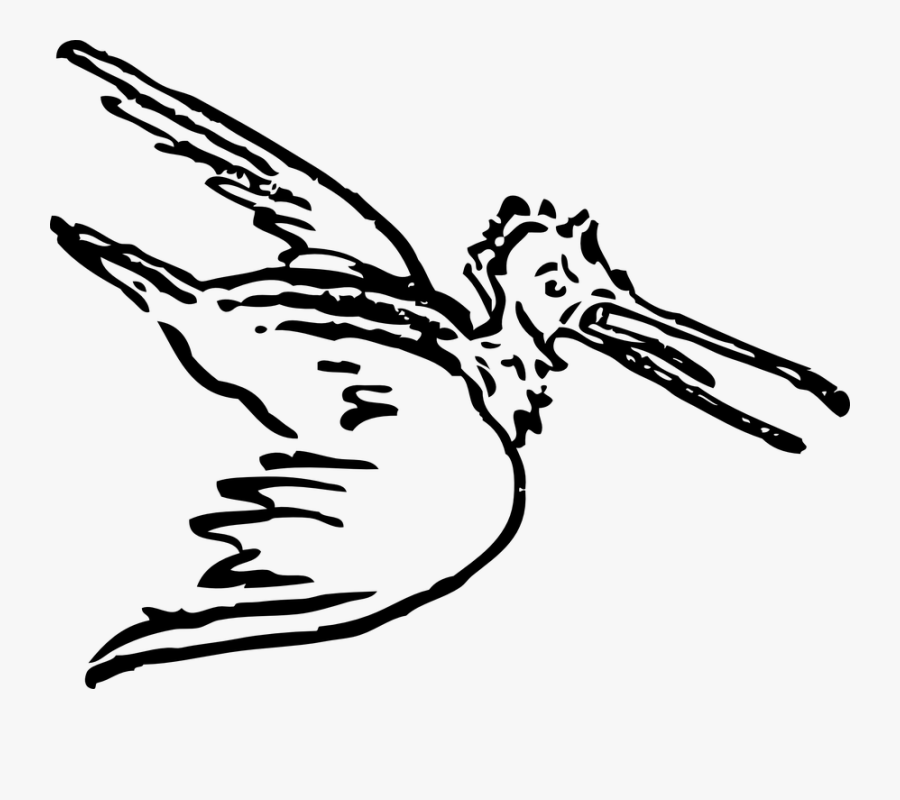 Cartoon Of Flying Pelican, Transparent Clipart