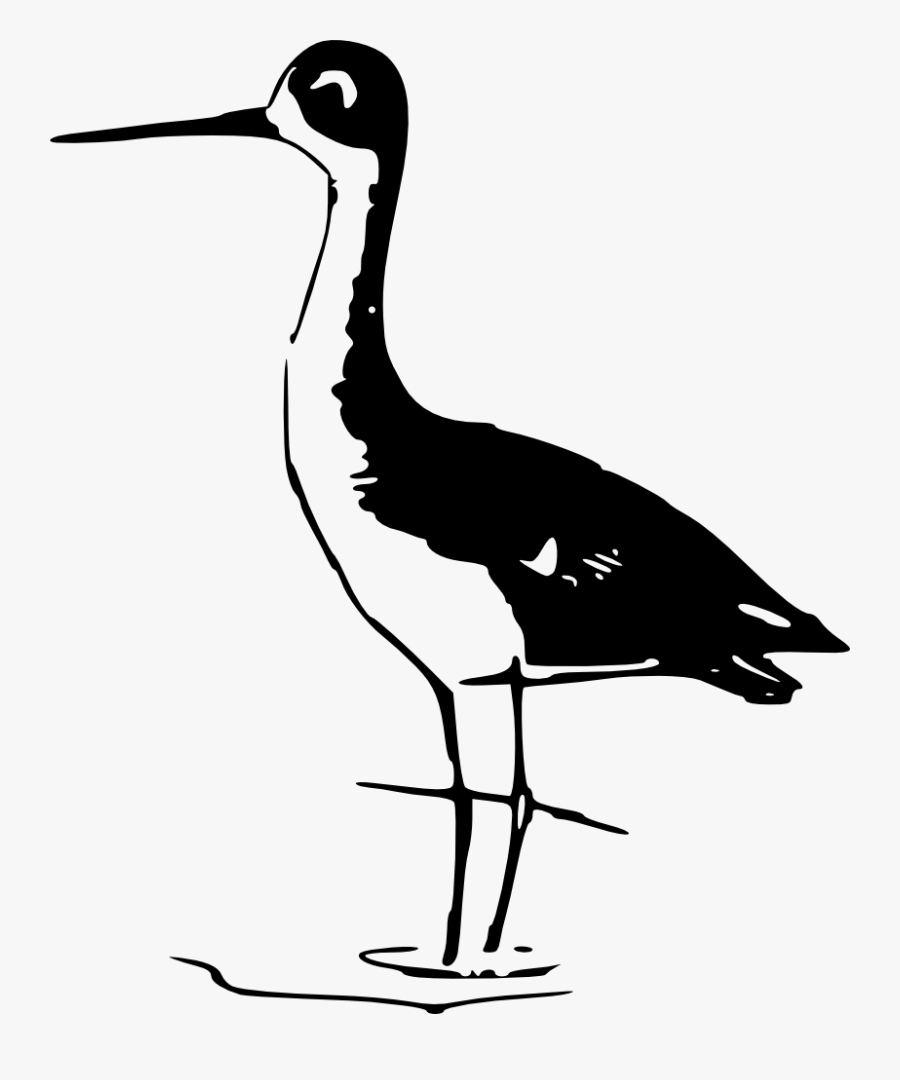 Stilt - Antique Avocet Black And White, Transparent Clipart