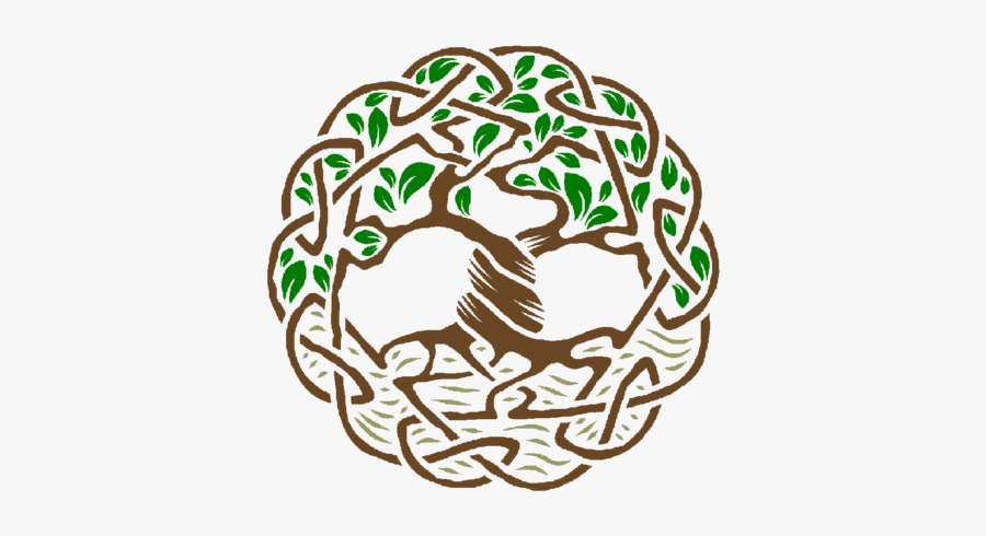 Logo Celtic Tree Agape Home Care - Celtic Tree Of Life Circle, Transparent Clipart
