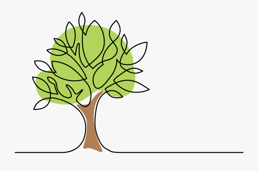 Tree Out Line Colour , Free Transparent Clipart - ClipartKey