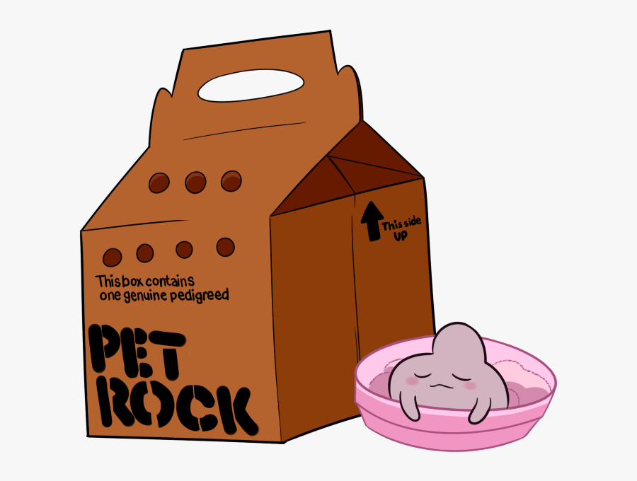 This Side Up Thisbox Contains One Genuine Pedigreed - Pet Rock, Transparent Clipart