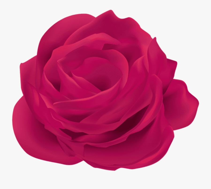 Free Png Pink Rose Flower Png Images Transparent Clipart - Dark Red Rose Hd Png, Transparent Clipart
