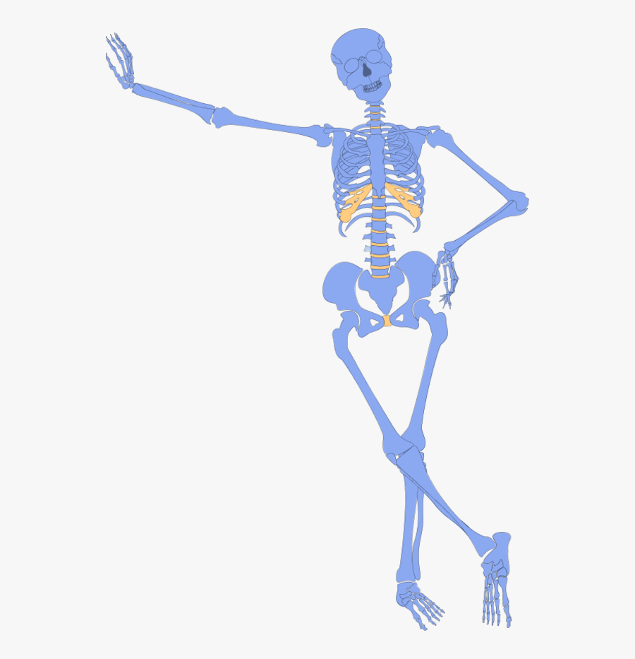 Skeleton Hand On Hip, Transparent Clipart