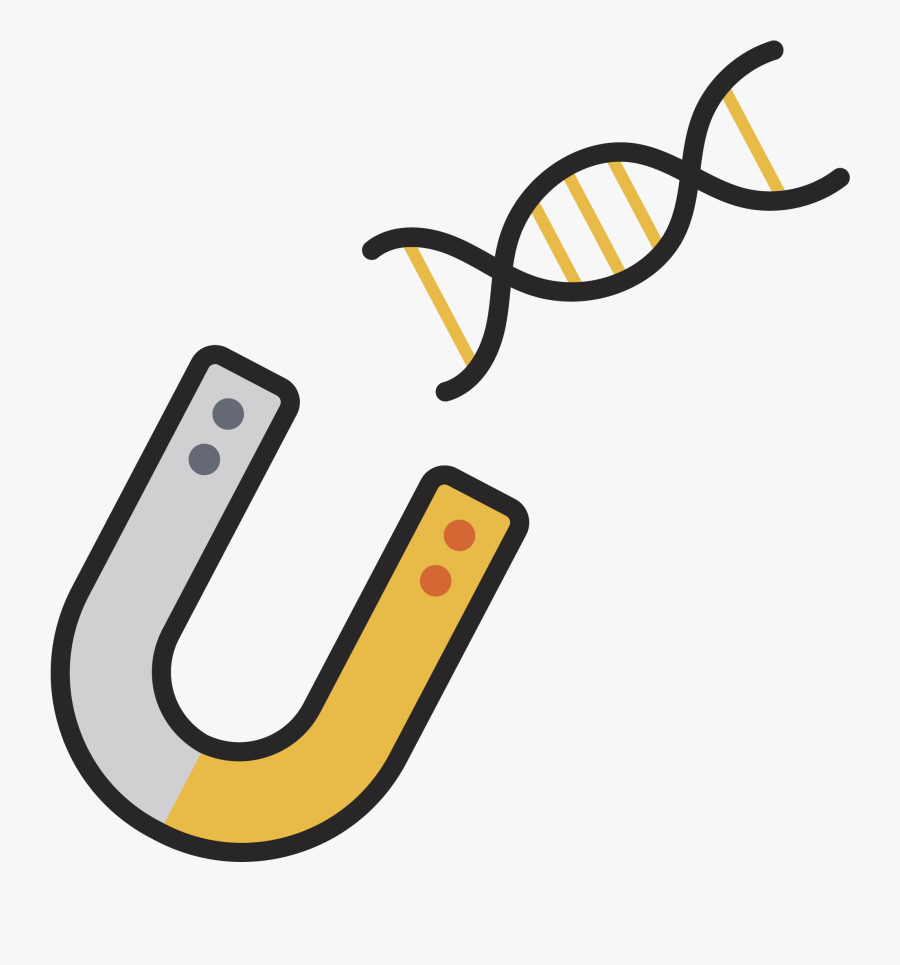 Nucleic Acid Isolation Clipart , Png Download - Nucleic Acid Double Helix, Transparent Clipart