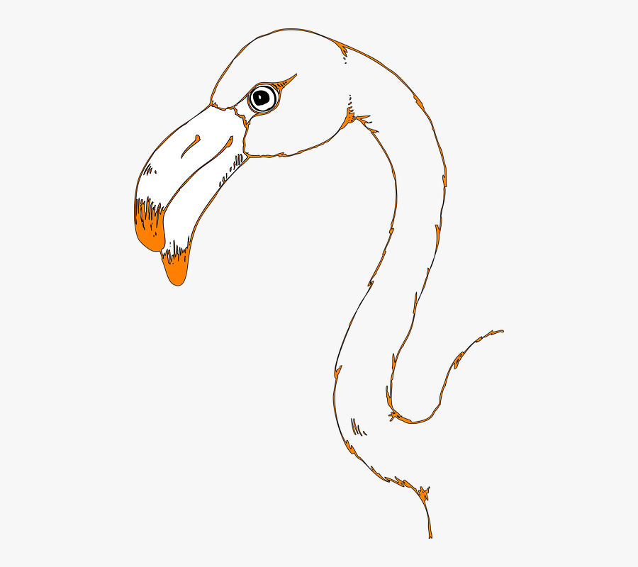 Outline Of Flamingo Beak, Transparent Clipart