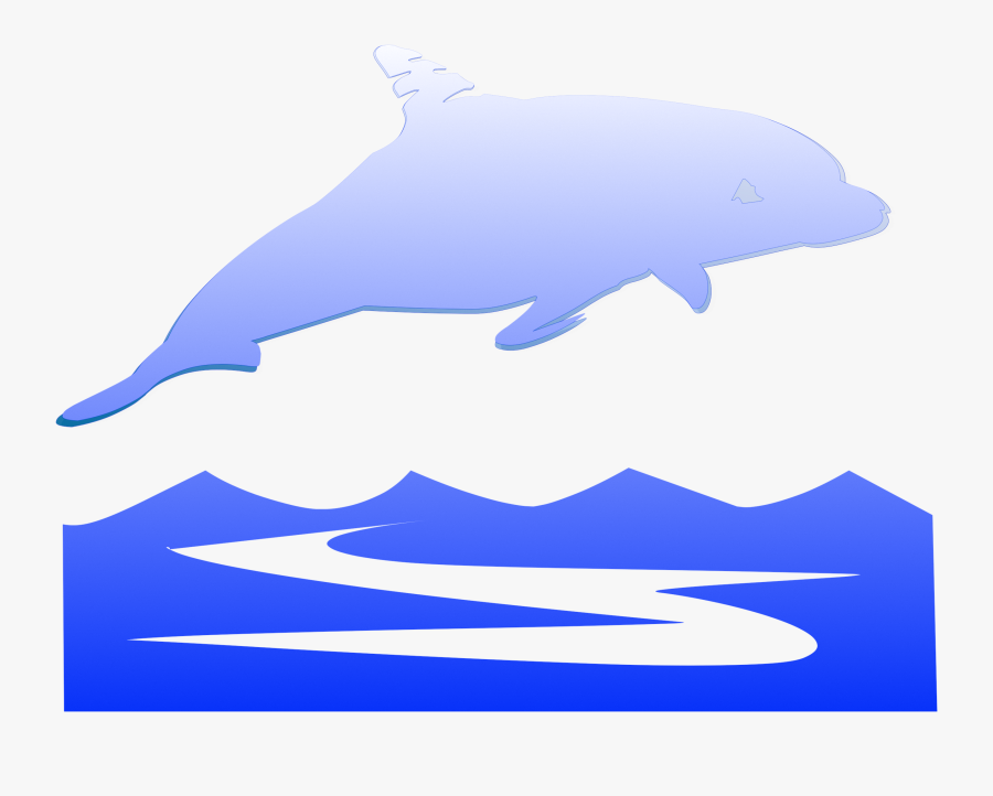 Dolphin, Transparent Clipart