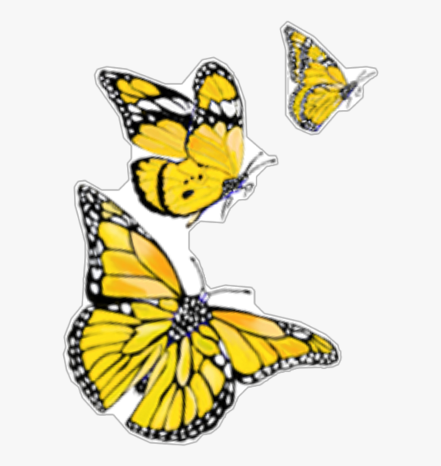 #yellow #orange #butterflies #butterfly - Papilio Machaon, Transparent Clipart