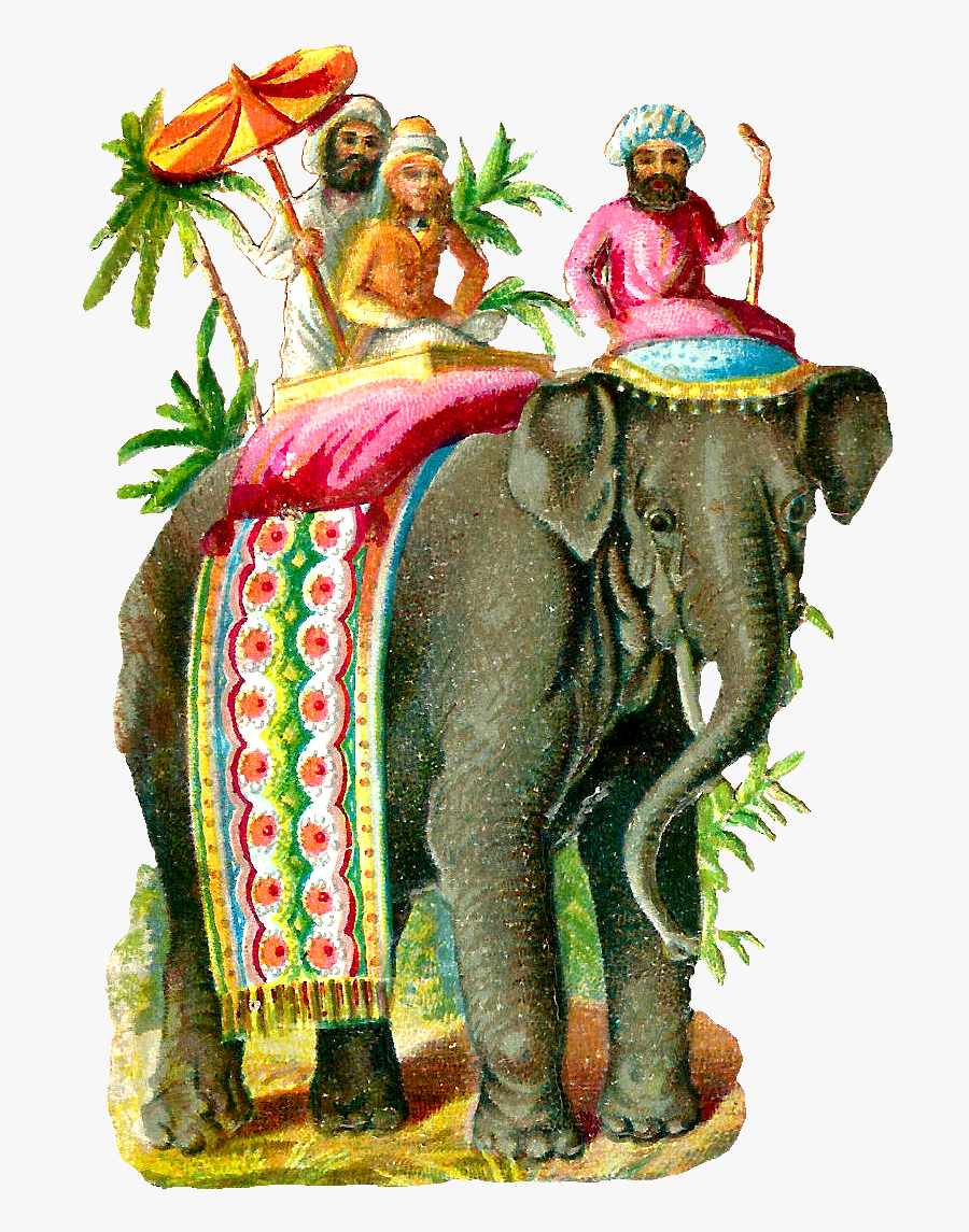 Stock Elephant Image - Asian Elephant, Transparent Clipart