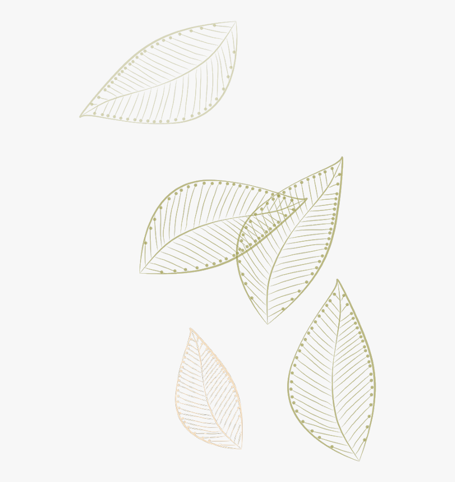 #leaf #leafs #leaves #floatingleaves #swirls #golden - Drawing, Transparent Clipart