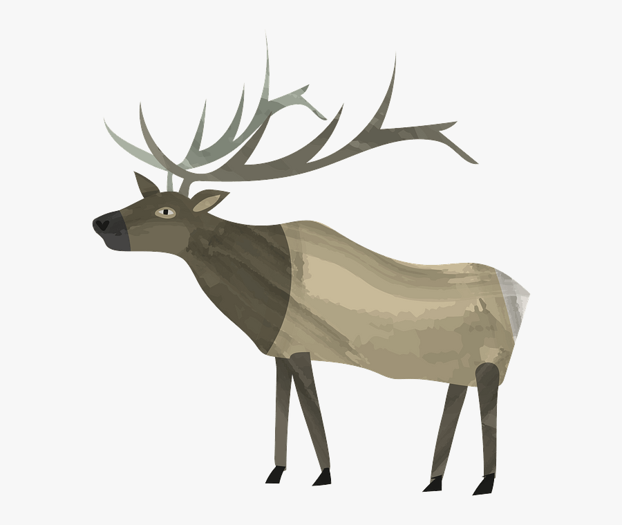 Elk, Transparent Clipart