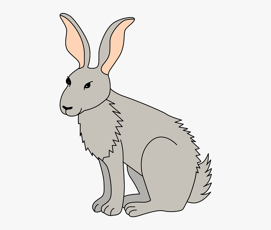 Domestic Rabbit, Transparent Clipart