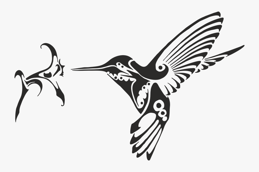 Free Free 278 Free Svg Hummingbird SVG PNG EPS DXF File