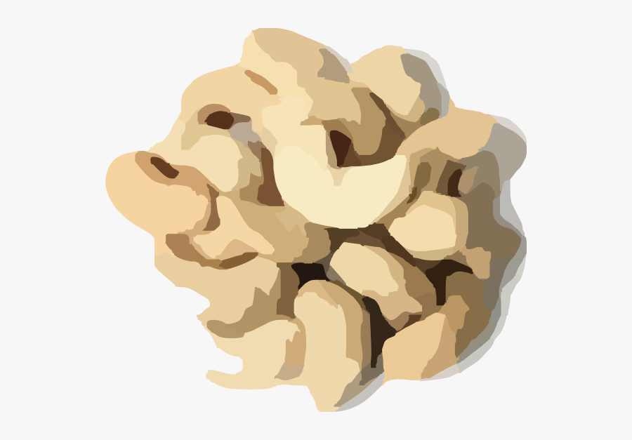 Cashew Nuts, Transparent Clipart