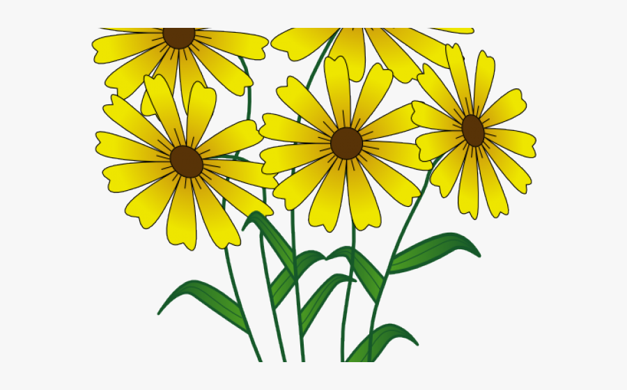 Transparent Wildflower Clipart - Spring Flower Transparent, Transparent Clipart