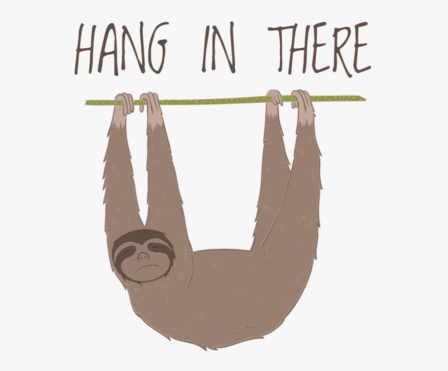 Hang in there. Плакат hang in there. Держись hang in there. Hang in there открытки.