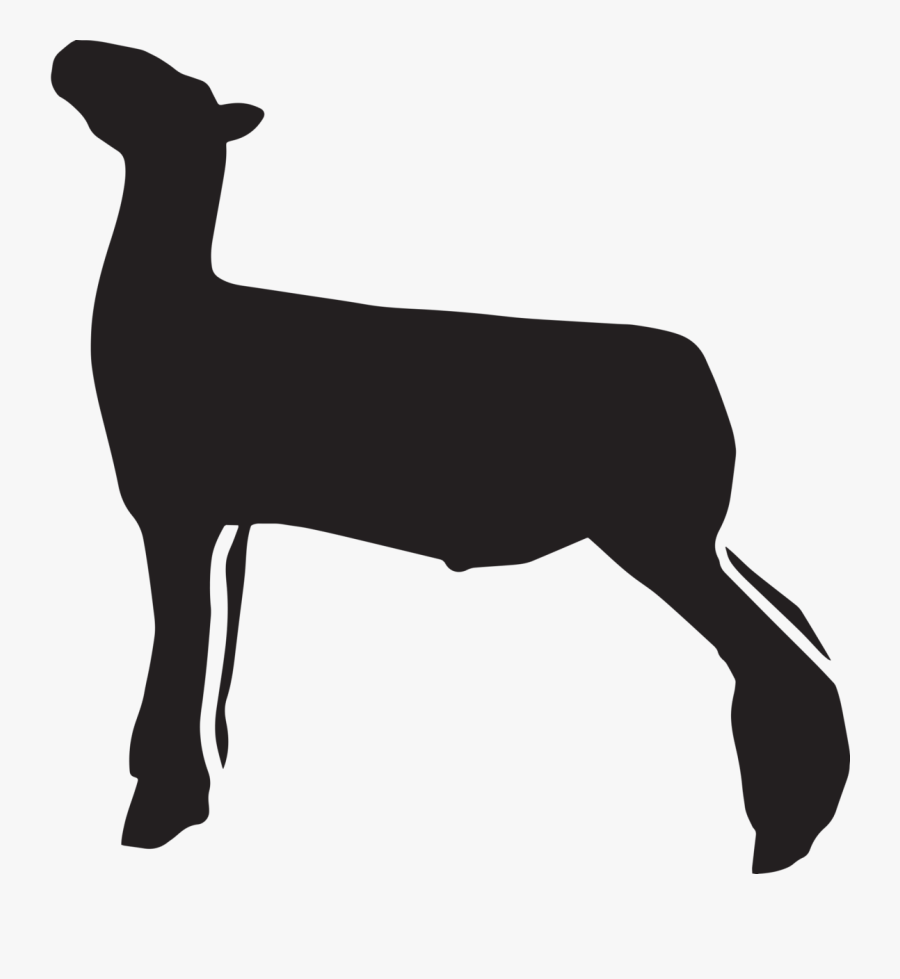 Download Show Sheep Clipart , Free Transparent Clipart - ClipartKey