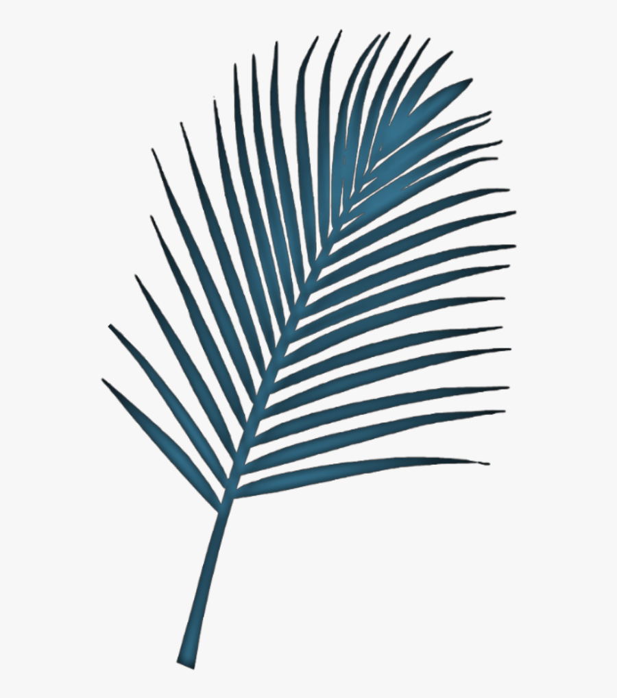 ##fern #plant #leaf #blue Remixed From @jumminbs #freetoedit - Beech, Transparent Clipart