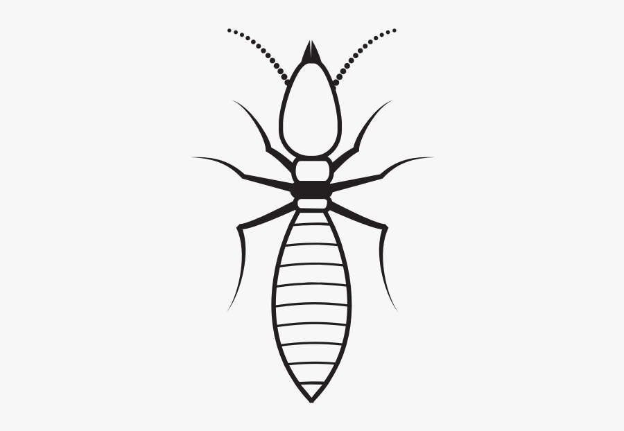 Ant Silhouette Cut File - Termite Svg, Transparent Clipart