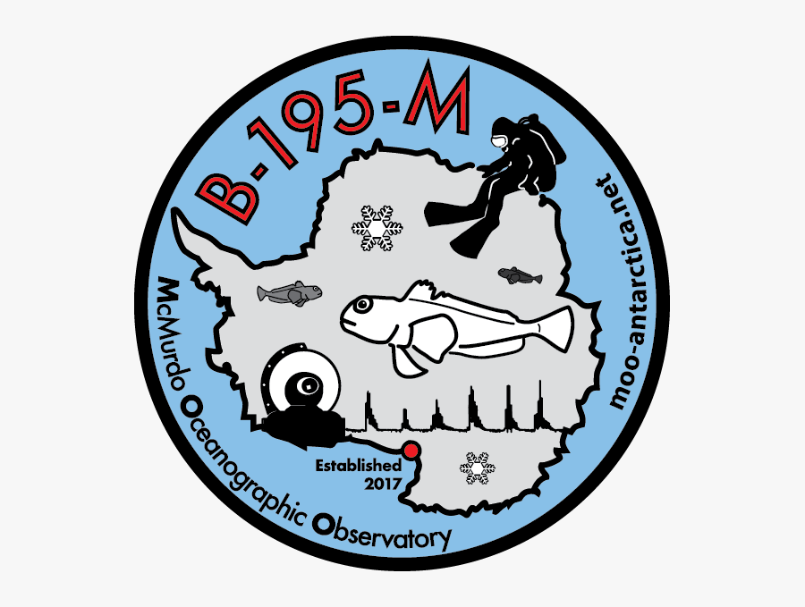 B195m Logo 2018, Transparent Clipart