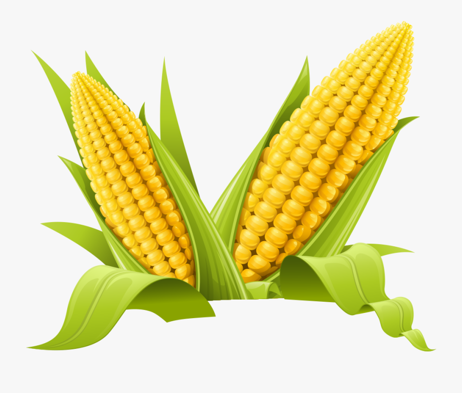 Maize Clip Art - Transparent Background Corn Png , Free Transparent ...