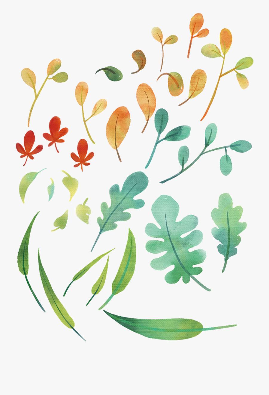 Plants The Leaves Leaves Free Photo - Floral Design, Transparent Clipart