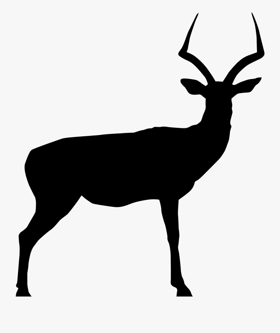 Impala Clipart Black And White, Transparent Clipart