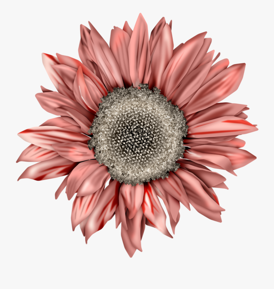 Autumn Sunflower Clip Art, Transparent Clipart