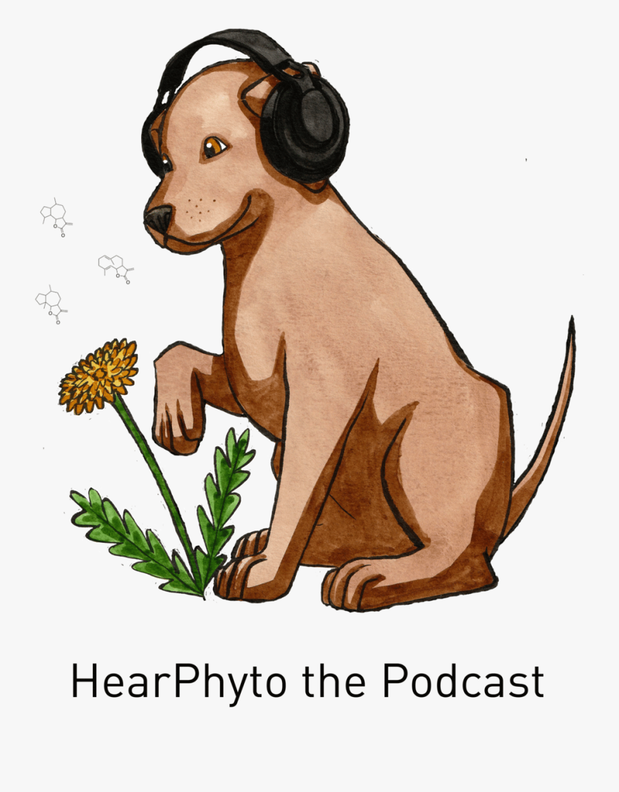 Hearphyto Podcast Season 1 Episode - Illustration, Transparent Clipart