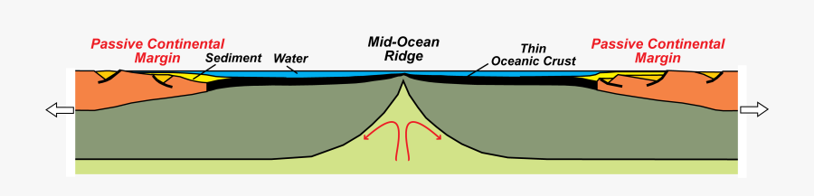 Diagram, Transparent Clipart