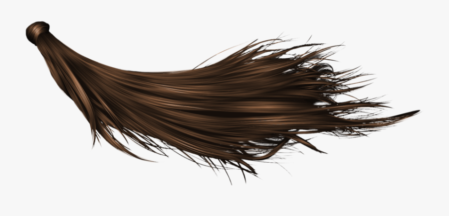 Hair Transparent Background - Hair On Transparent Background, Transparent Clipart