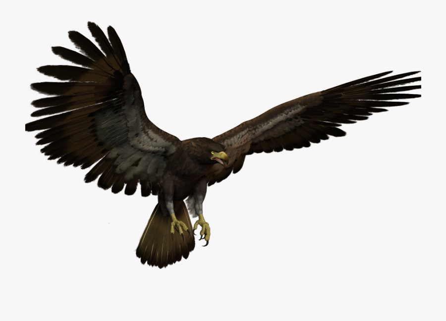 Black Eagle Flying Clipart , Png Download - Black Eagle Flying, Transparent Clipart