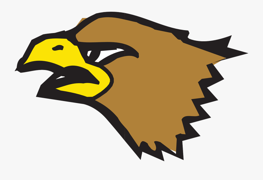 Head, Brown, Eagle, Bird, Beak - Gambar Kepala Burung Garuda, Transparent Clipart