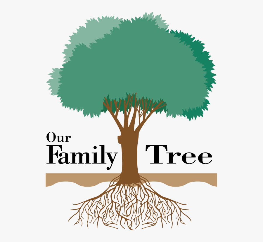 Transparent Reunion Clipart - Tree For Family Tree, Transparent Clipart