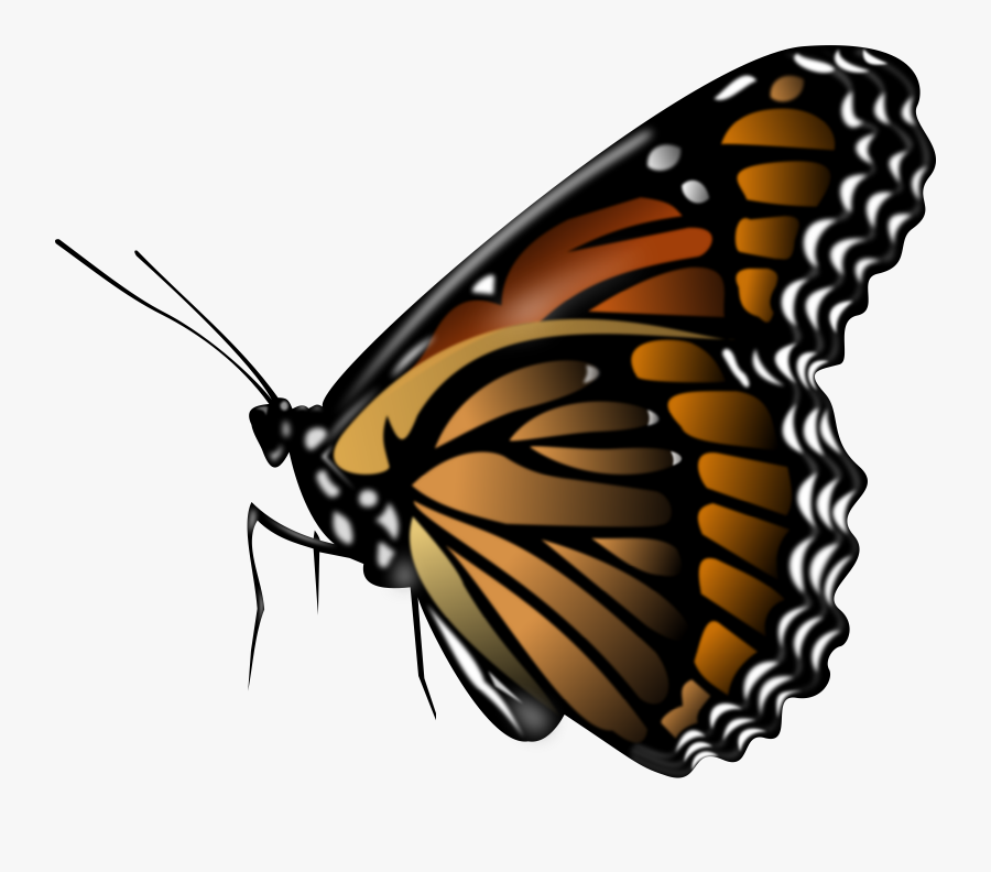 Monarch Butterfly - Brown Butterfly Clipart, Transparent Clipart