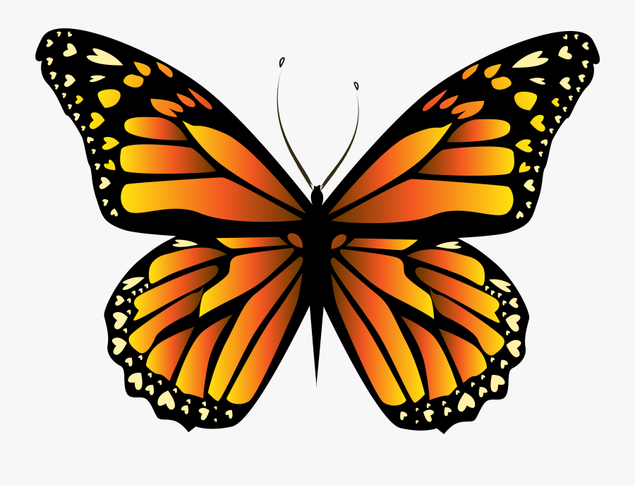 Transparent Butterflies Clipart - Orange Butterfly Png, Transparent Clipart