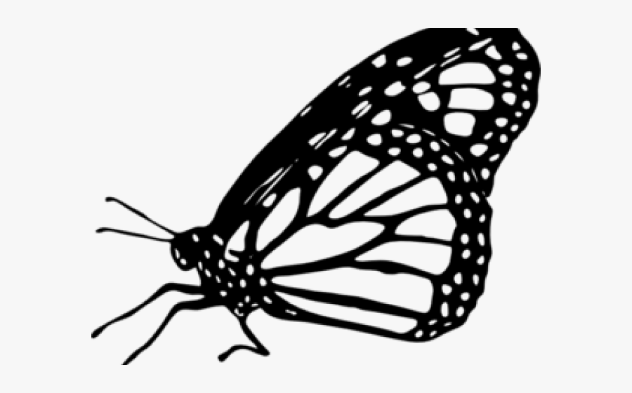 Butterfly Clipart Monarch - Monarch Butterfly Clipart, Transparent Clipart