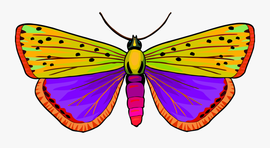 Monarch Butterfly Moth Pieridae Brush-footed Butterflies - Butterfly, Transparent Clipart